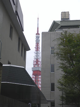 新オフィス近辺からみえる東京タワー