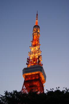 やっぱりライトアップした東京タワーは美しい