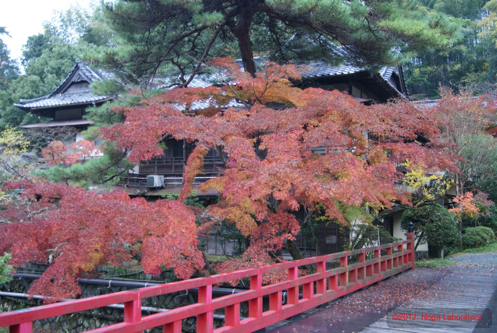 いい雰囲気の宿 いい雰囲気の宿
