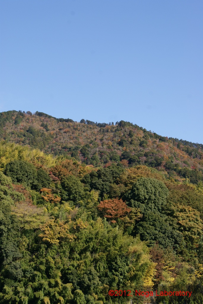 天気もよく、景色がいい 天気もよく、景色がいい