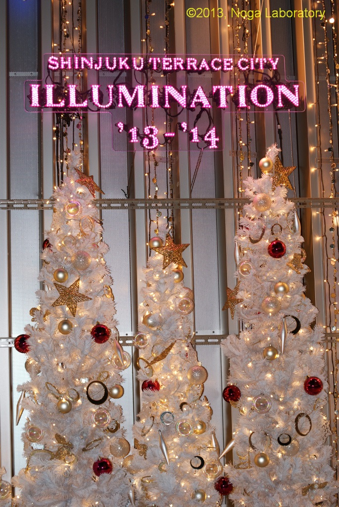 新宿テラスシティ・イルミネーション2013-2014・その2 新宿テラスシティ・イルミネーション2013-2014・その2