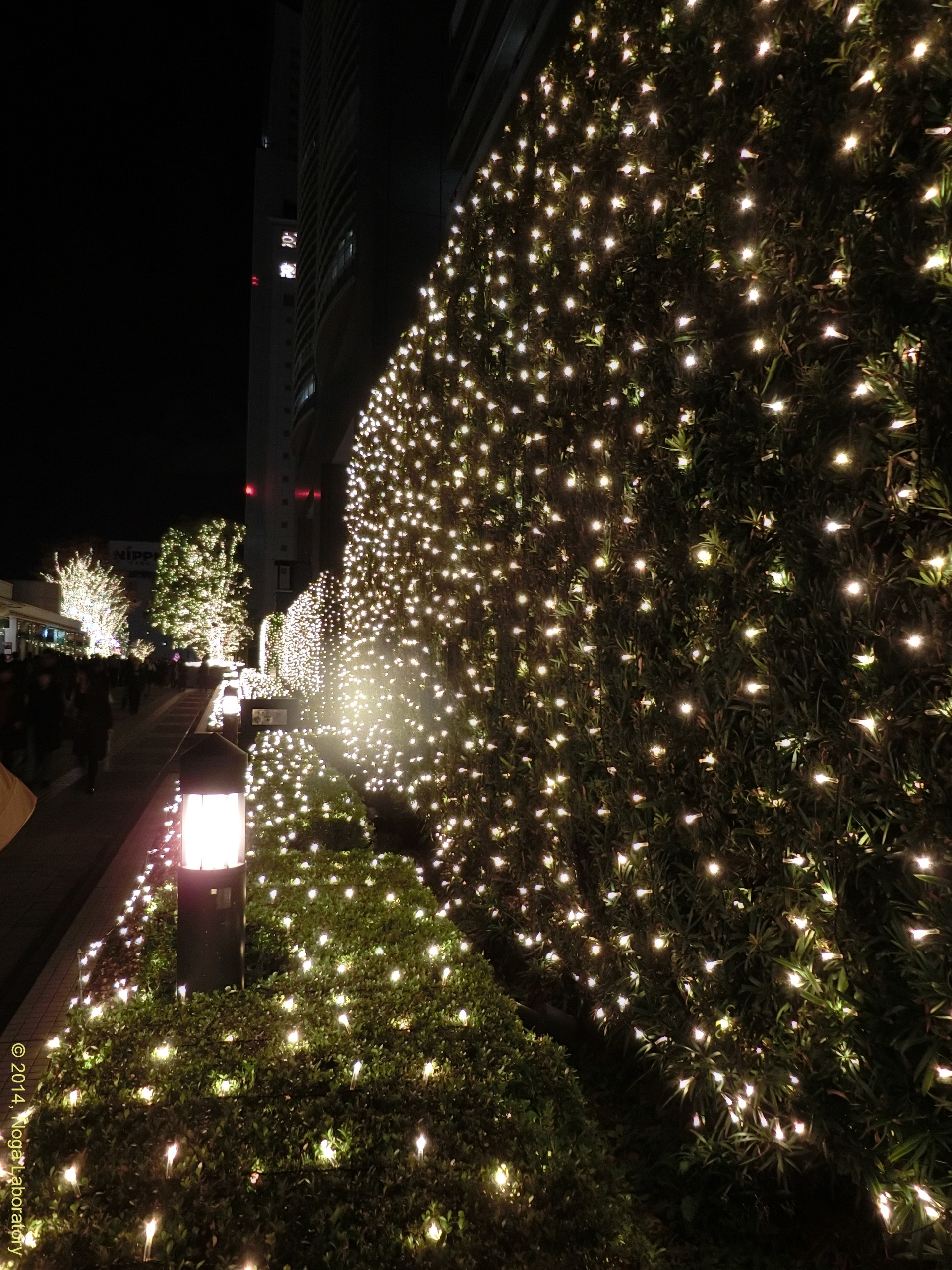 新宿テラスシティ・イルミネーション2014-2015・その6 新宿テラスシティ・イルミネーション2014-2015・その6