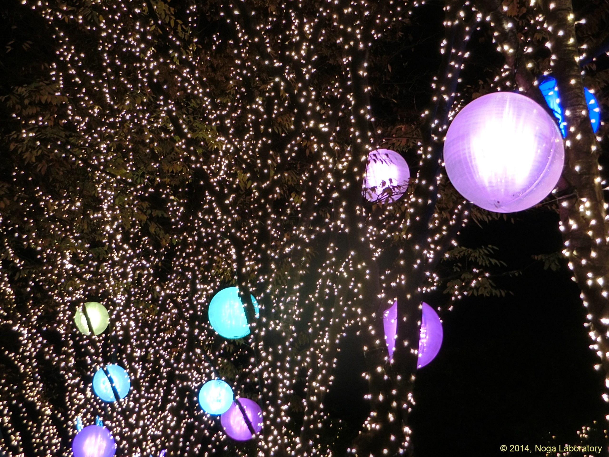 新宿テラスシティ・イルミネーション2014-2015・その9 新宿テラスシティ・イルミネーション2014-2015・その9