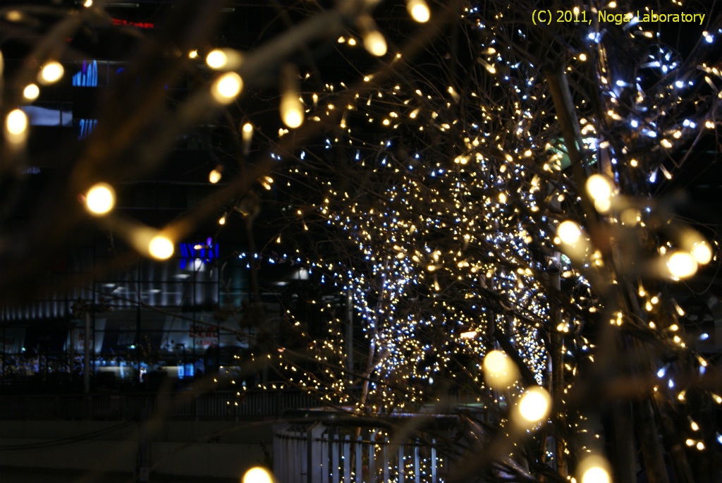 新宿駅西口・ビックカメラ前 新宿駅西口・ビックカメラ前